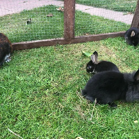 Appartamento Ostseebauernhof Familie Jaeger Tarnewitzerhagen