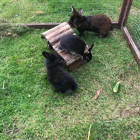 Ostseebauernhof Familie Jaeger Appartamento Tarnewitzerhagen